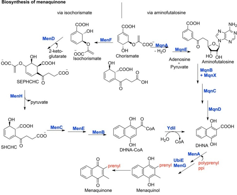 Figure 54