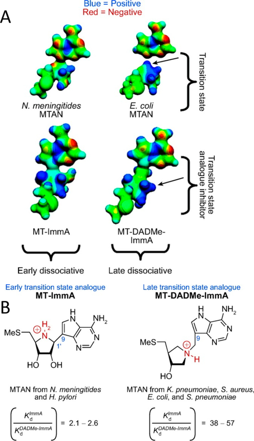 Figure 46