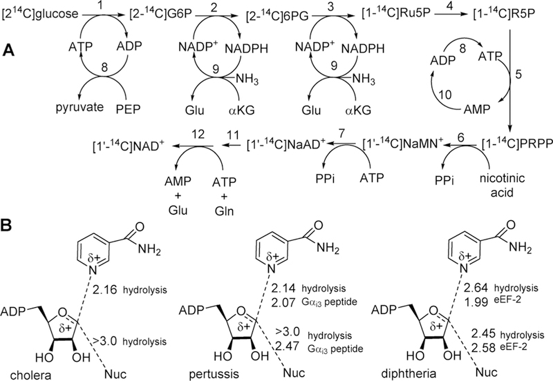 Figure 17