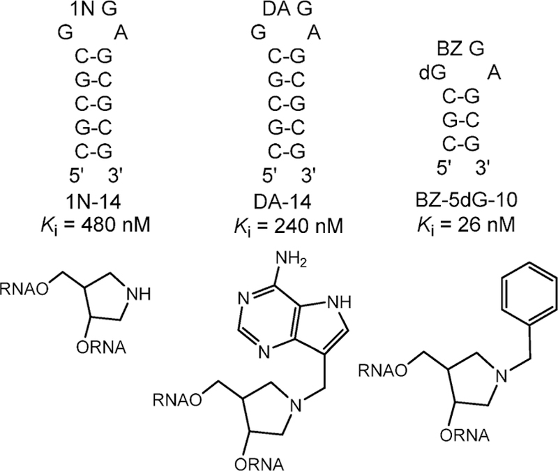 Figure 22