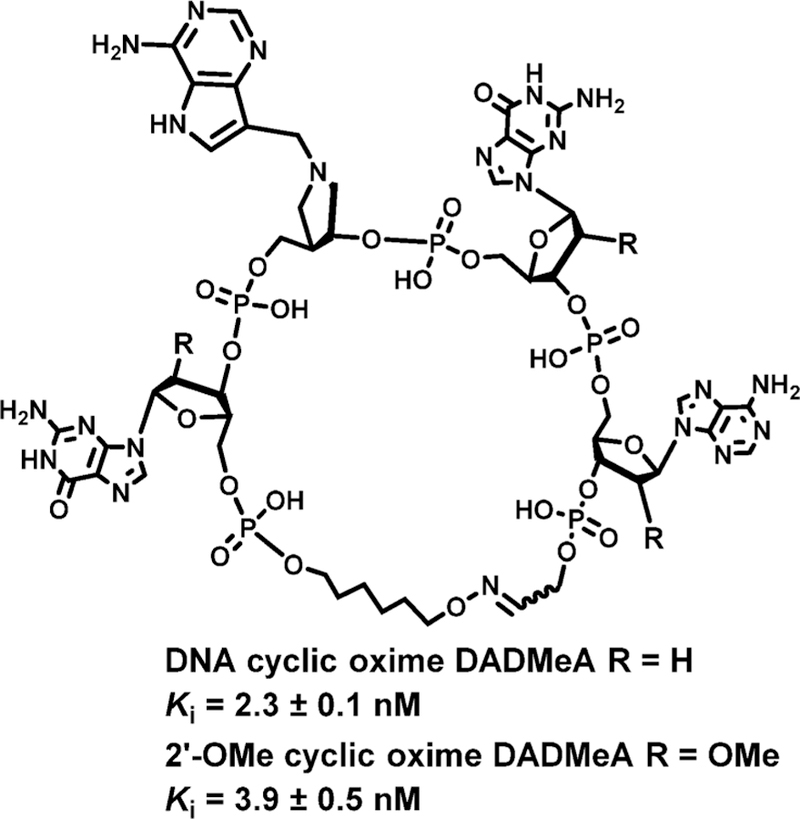 Figure 25