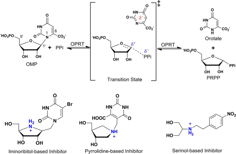 Figure 33