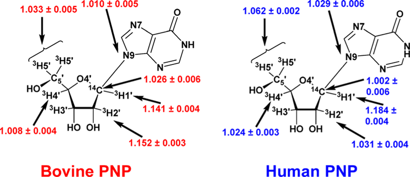 Figure 59