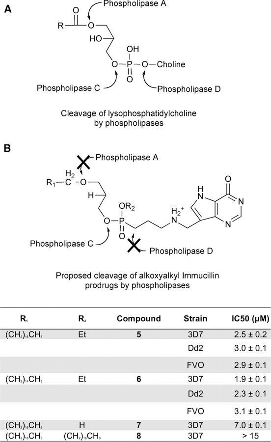 Figure 31