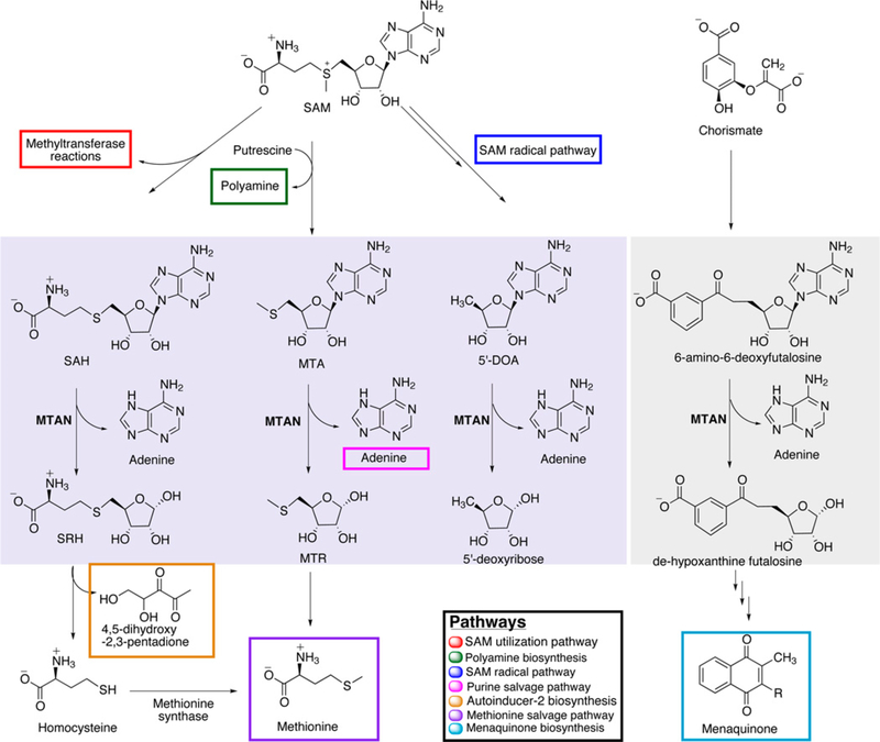 Figure 45