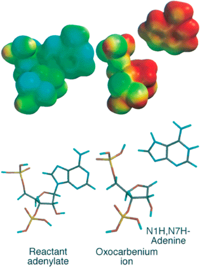 Figure 20