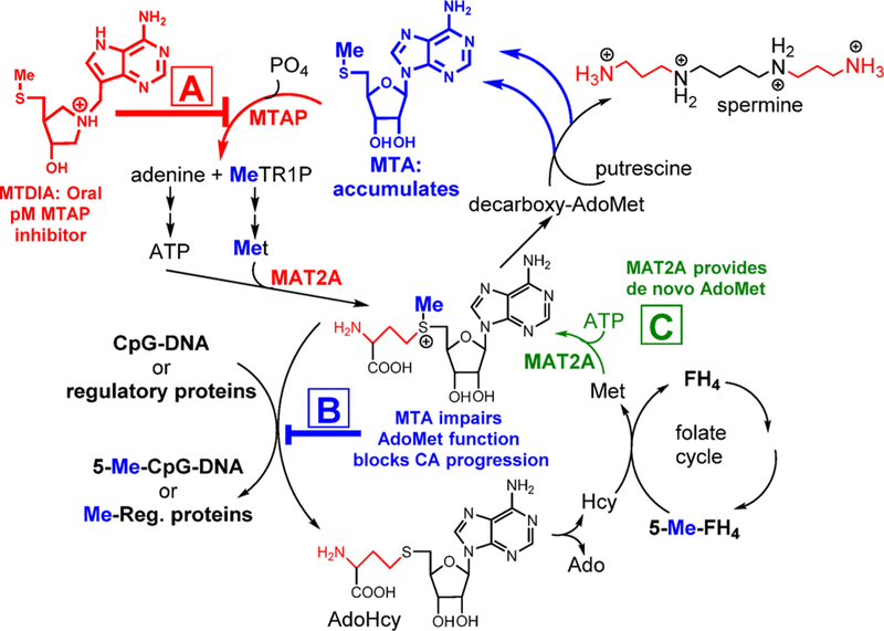 Figure 38