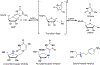 Figure 33