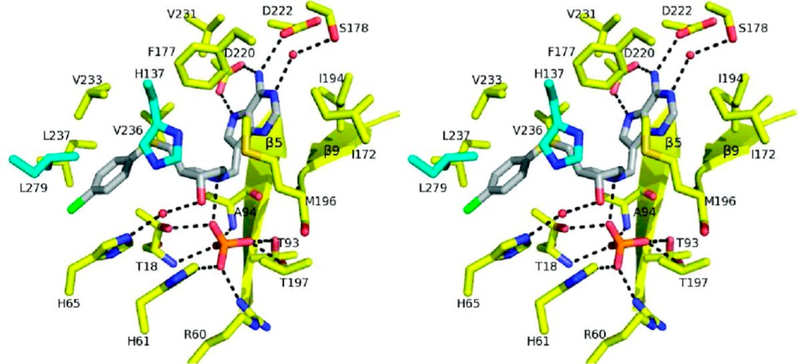 Figure 41