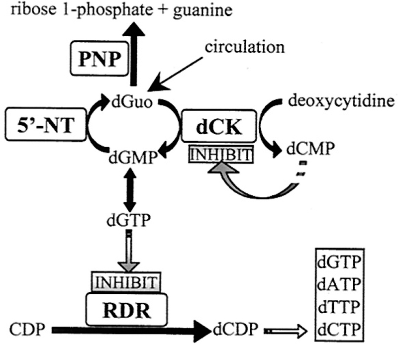 Figure 73