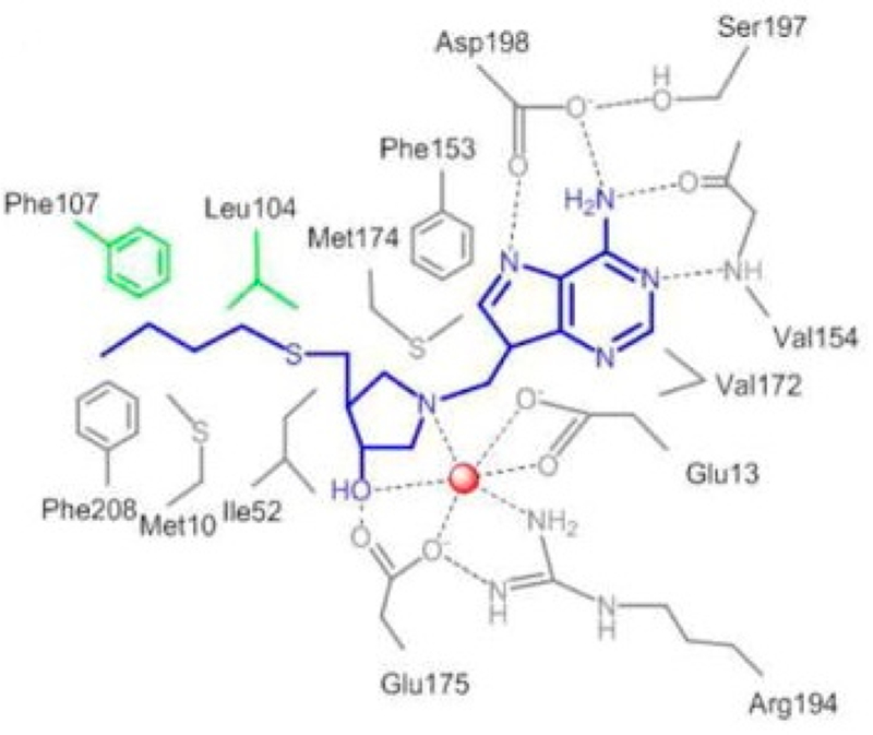 Figure 55