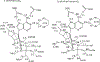 Figure 40