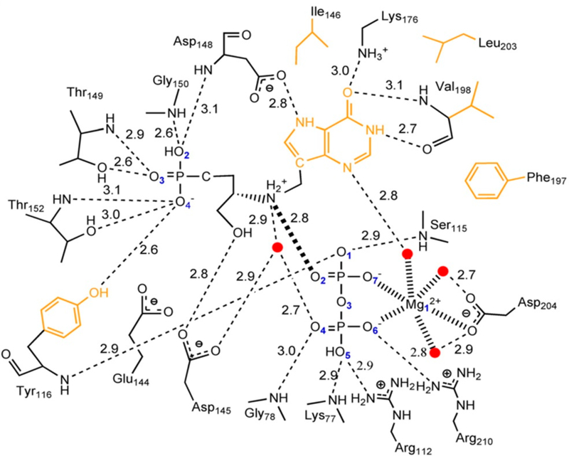 Figure 32