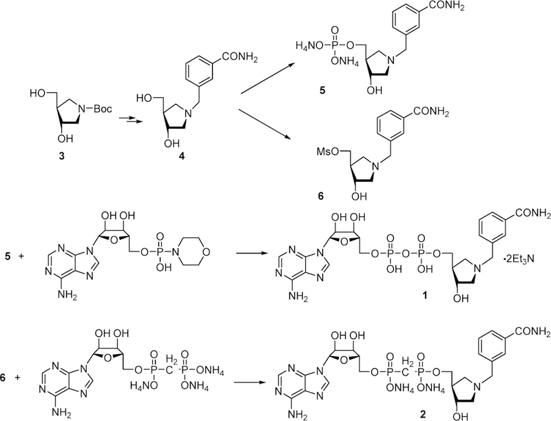 Figure 19