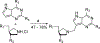 Figure 61