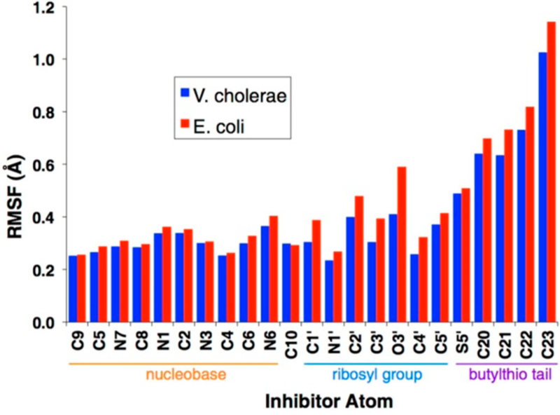 Figure 51