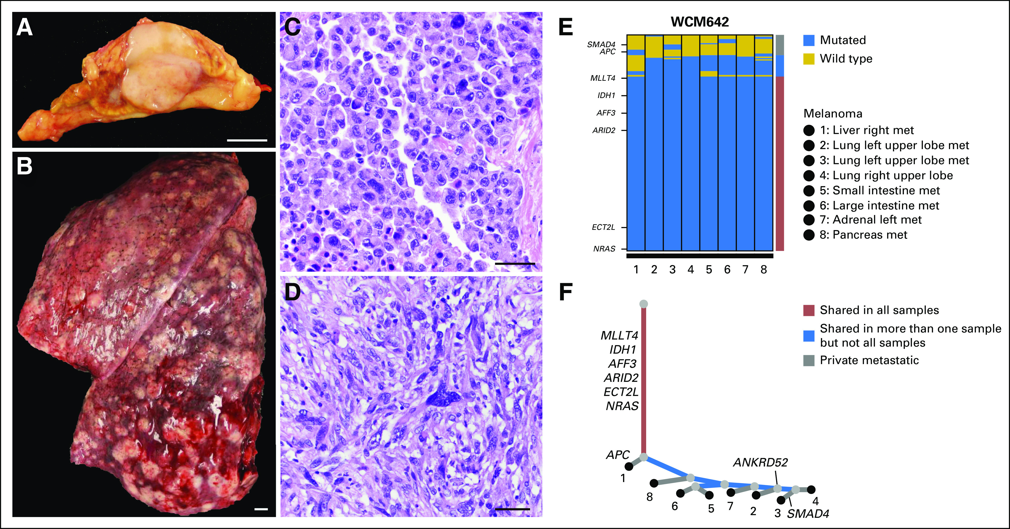 Fig 3.