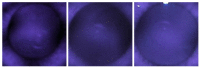 Figure 18