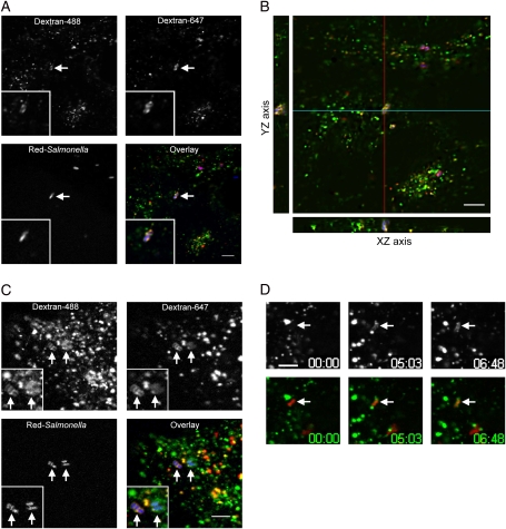 Figure 2: