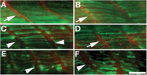 Figure 7.