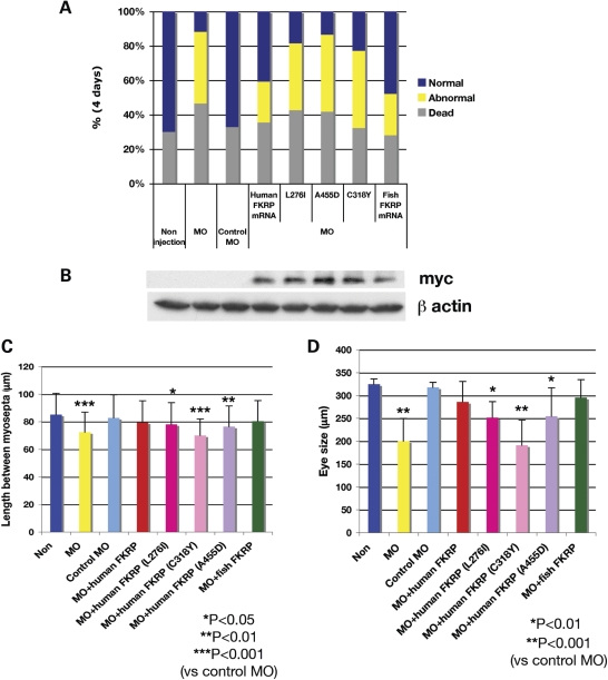 Figure 4.