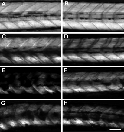 Figure 5.