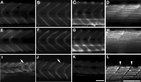 Figure 3.