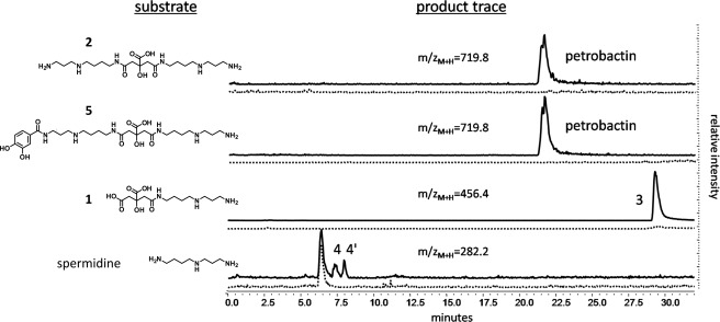 FIGURE 7.