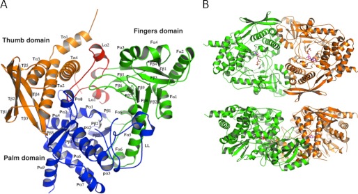 FIGURE 3.