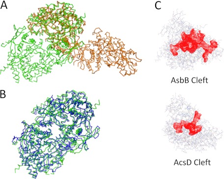 FIGURE 4.