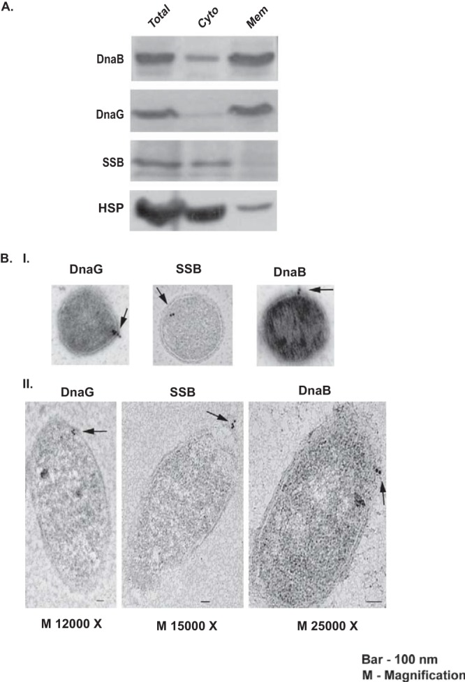 FIG 6