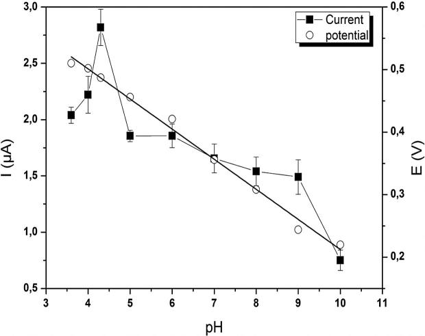 Fig. 5