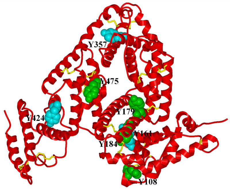 Fig. 6