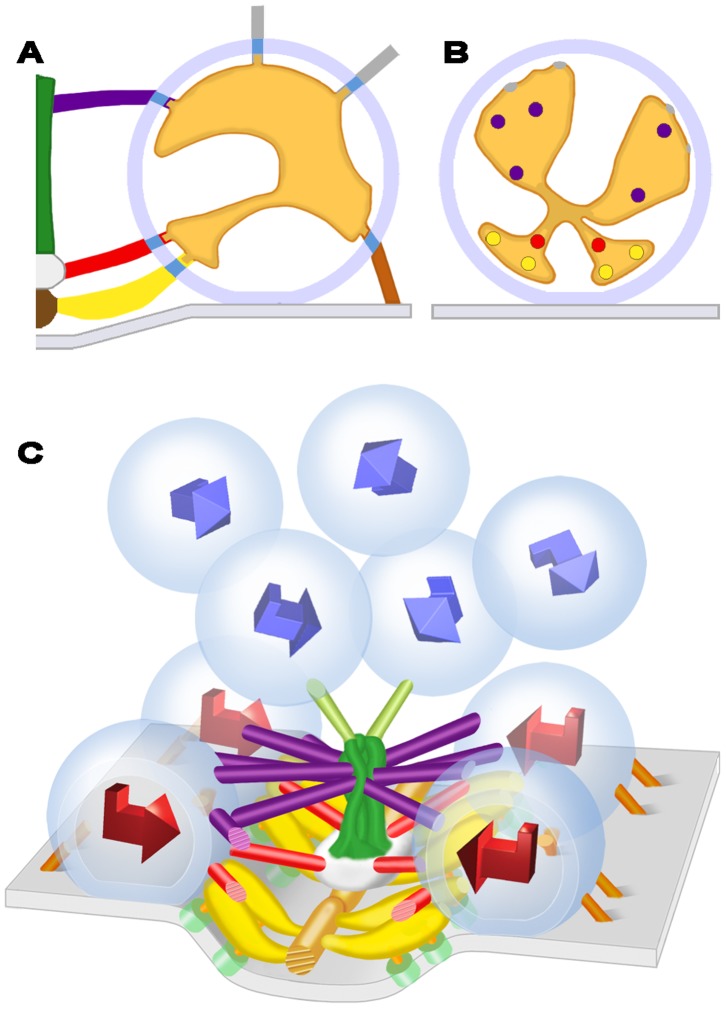 Figure 9