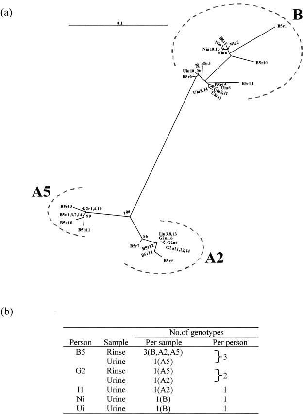 FIG. 2.