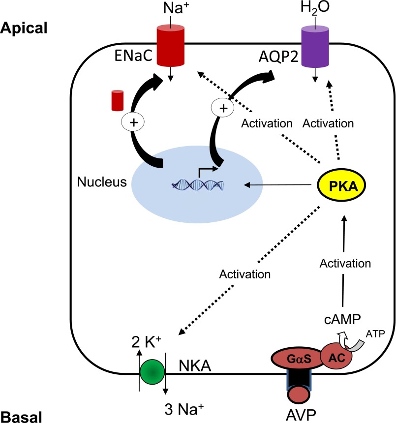 Figure 3.