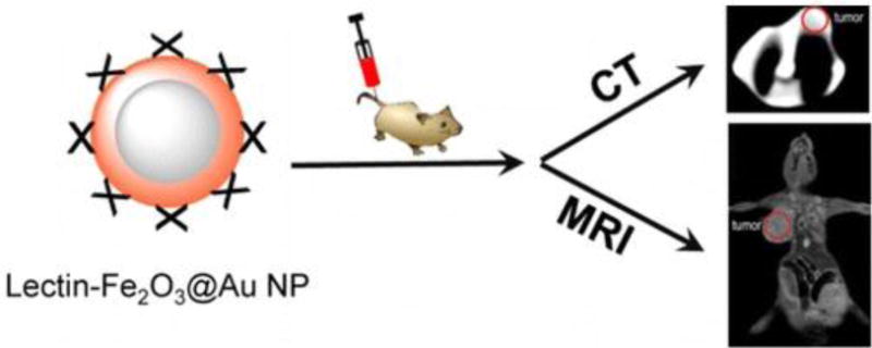 Fig. 13