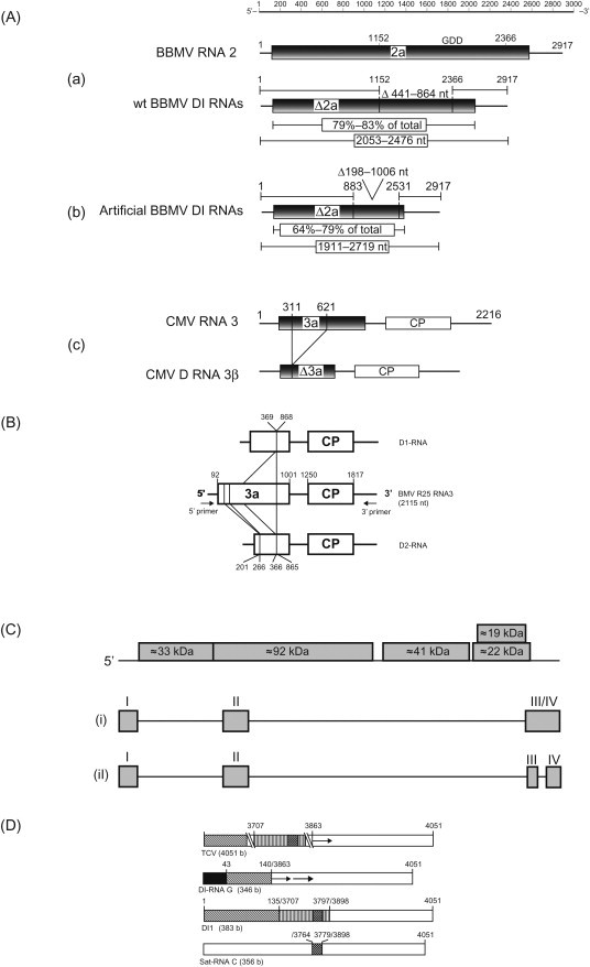 Figure 7.17