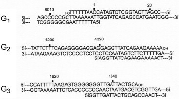 Figure 7.23