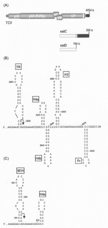 Figure 7.11