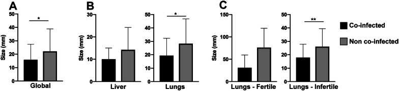 Figure  4