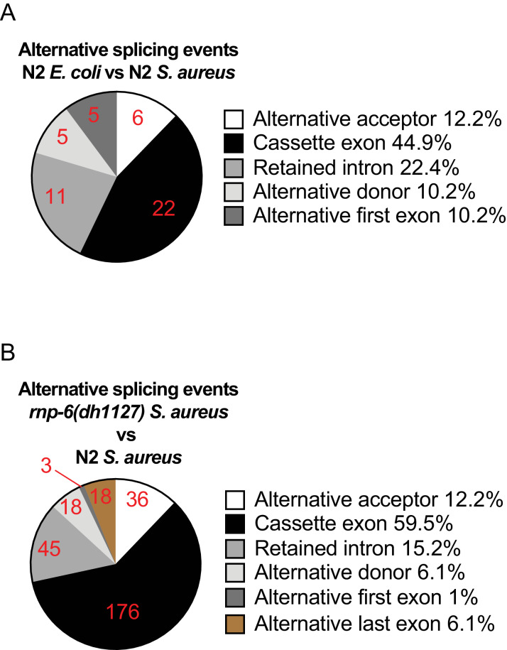 Figure 3—figure supplement 1.