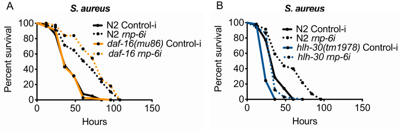 Figure 5—figure supplement 1.