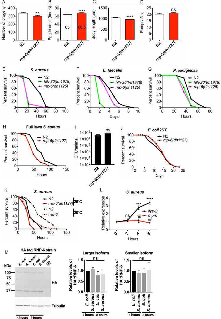 Figure 1—figure supplement 1.