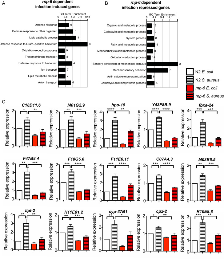 Figure 2—figure supplement 1.