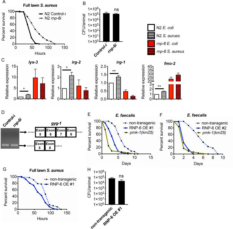 Figure 4—figure supplement 1.