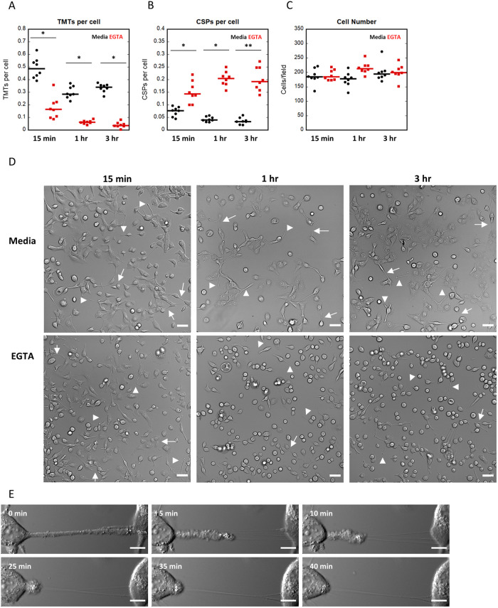 FIGURE 6: