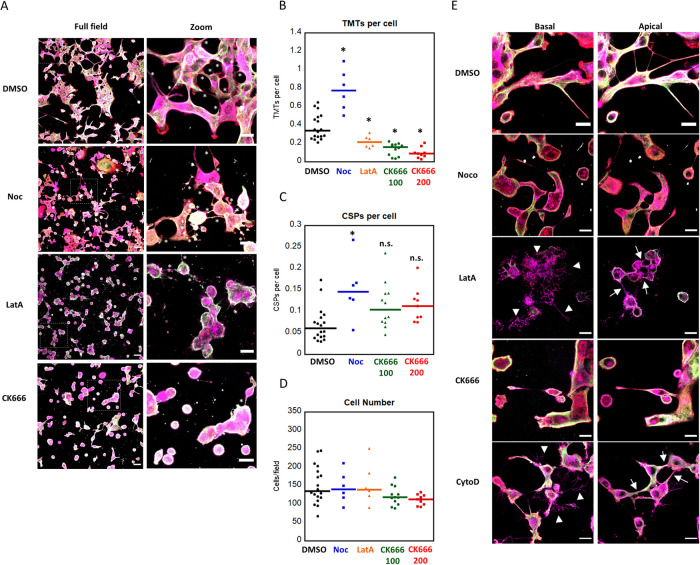 FIGURE 4: