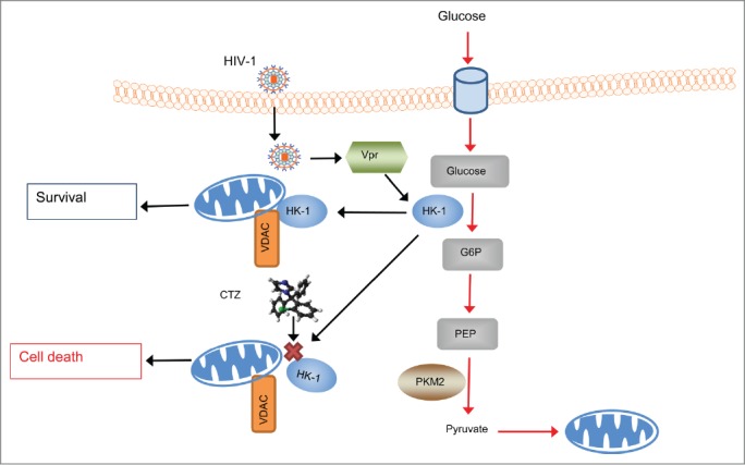 Figure 6.