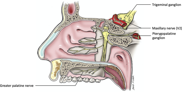 FIGURE 3